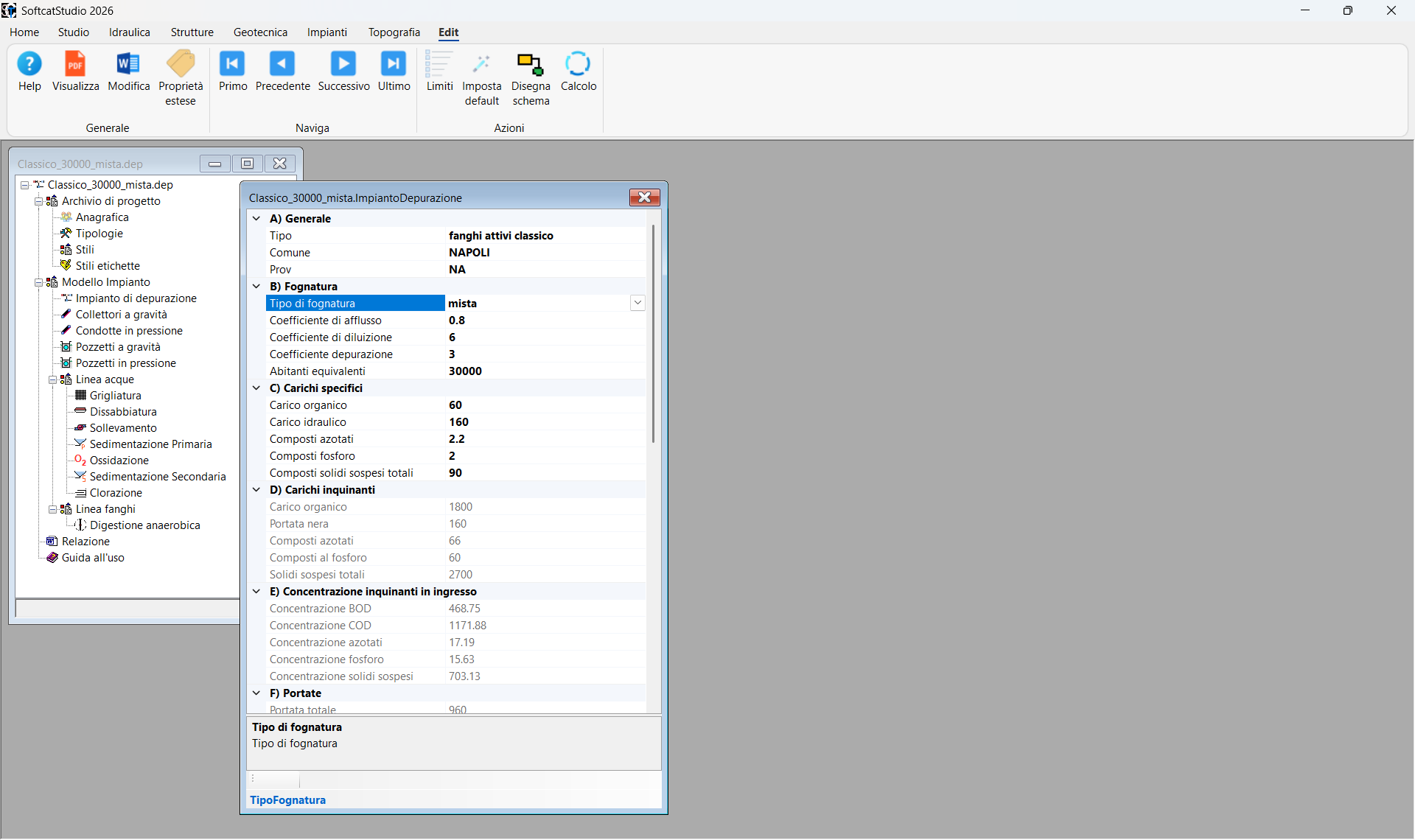 Depura software depurazione SofTCat per impianti a fanghi attivi