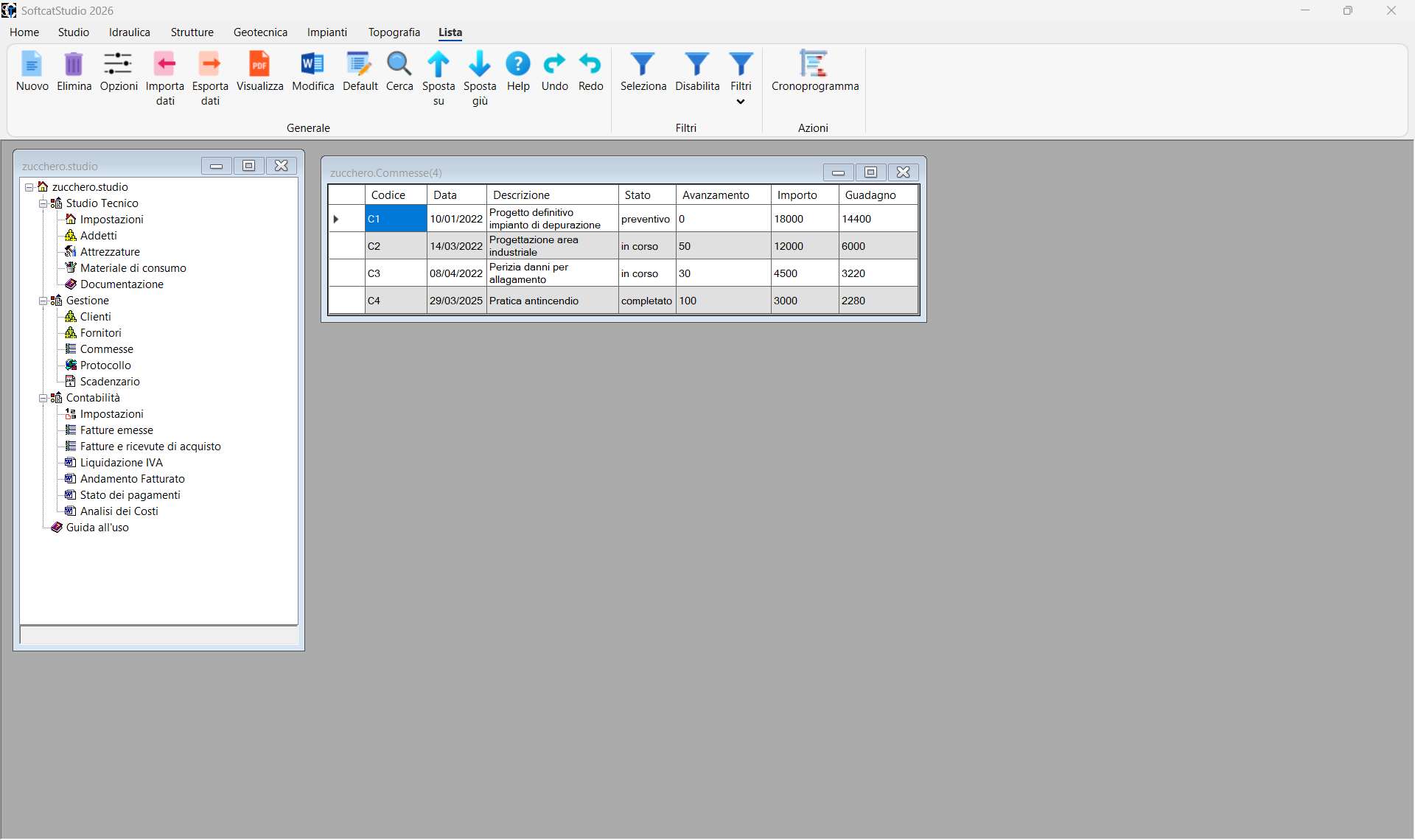 Gestione Studio software gestione studio tecnico SofTCat